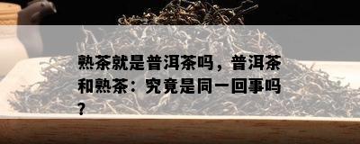 熟茶就是普洱茶吗，普洱茶和熟茶：究竟是同一回事吗？