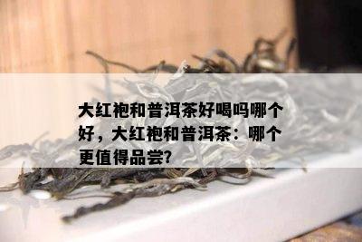 大红袍和普洱茶好喝吗哪个好，大红袍和普洱茶：哪个更值得品尝？