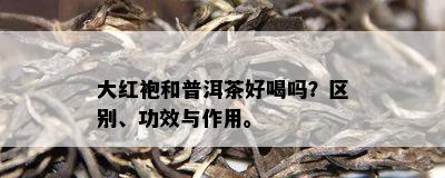 大红袍和普洱茶好喝吗？区别、功效与作用。