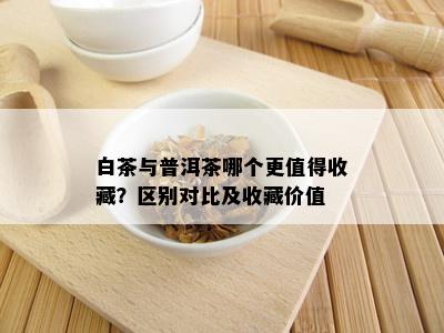 白茶与普洱茶哪个更值得收藏？区别对比及收藏价值