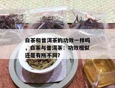 白茶和普洱茶的功效一样吗，白茶与普洱茶：功效相似还是有所不同？