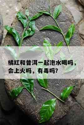 橘红和普洱一起泡水喝吗，会上火吗，有吗？