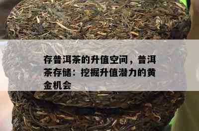 存普洱茶的升值空间，普洱茶存储：挖掘升值潜力的黄金机会