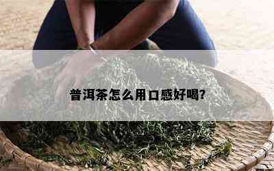 普洱茶怎么用口感好喝？