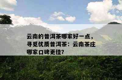 云南的普洱茶哪家好一点，寻觅优质普洱茶：云南茶庄哪家口碑更佳？