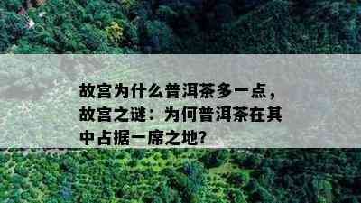 故宫为什么普洱茶多一点，故宫之谜：为何普洱茶在其中占据一席之地？