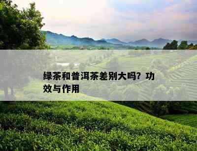 绿茶和普洱茶差别大吗？功效与作用