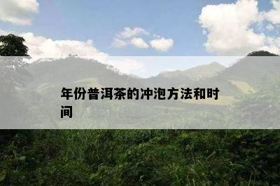 年份普洱茶的冲泡方法和时间