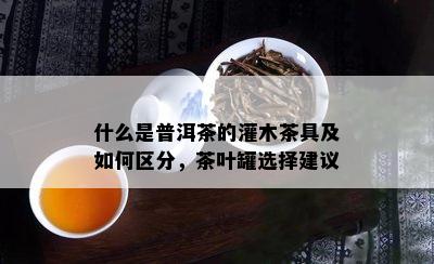 什么是普洱茶的灌木茶具及如何区分，茶叶罐选择建议