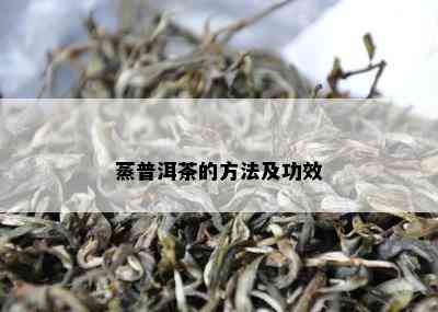 蒸普洱茶的方法及功效