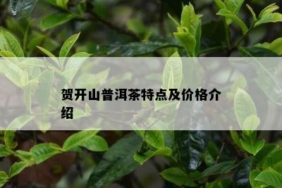 贺开山普洱茶特点及价格介绍