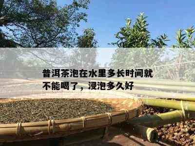 普洱茶泡在水里多长时间就不能喝了，浸泡多久好