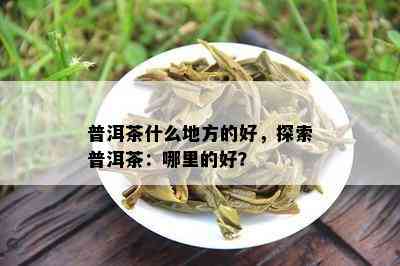 普洱茶什么地方的好，探索普洱茶：哪里的好？