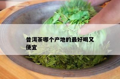 普洱茶哪个产地的更好喝又便宜