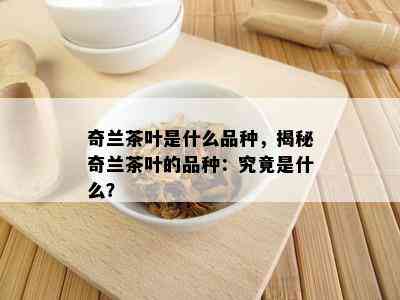 奇兰茶叶是什么品种，揭秘奇兰茶叶的品种：究竟是什么？