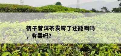 桔子普洱茶发霉了还能喝吗，有吗？