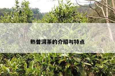 熟普洱茶的介绍与特点