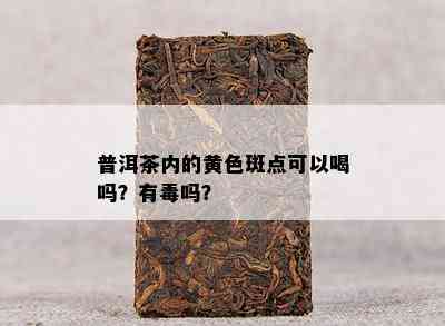 普洱茶内的黄色斑点可以喝吗？有吗？