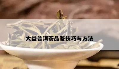 大益普洱茶品鉴技巧与方法