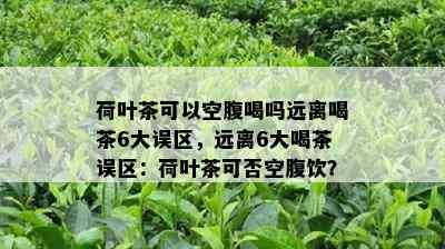 荷叶茶可以空腹喝吗远离喝茶6大误区，远离6大喝茶误区：荷叶茶可否空腹饮？