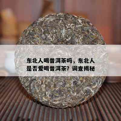 东北人喝普洱茶吗，东北人是否爱喝普洱茶？调查揭秘