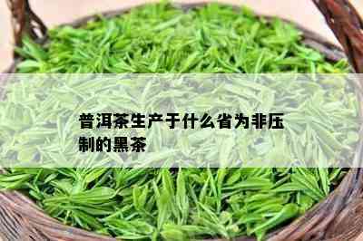 普洱茶生产于什么省为非压制的黑茶