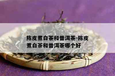 陈皮煮白茶和普洱茶-陈皮煮白茶和普洱茶哪个好