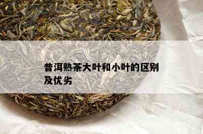 普洱熟茶大叶和小叶的区别及优劣