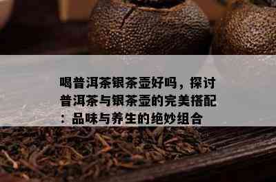 喝普洱茶银茶壶好吗，探讨普洱茶与银茶壶的完美搭配：品味与养生的绝妙组合