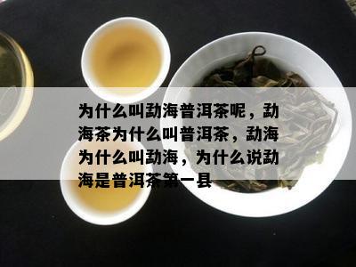 为什么叫勐海普洱茶呢，勐海茶为什么叫普洱茶，勐海为什么叫勐海，为什么说勐海是普洱茶之一县