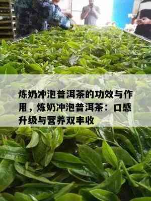 炼奶冲泡普洱茶的功效与作用，炼奶冲泡普洱茶：口感升级与营养双丰收