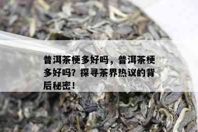 普洱茶梗多好吗，普洱茶梗多好吗？探寻茶界热议的背后秘密！