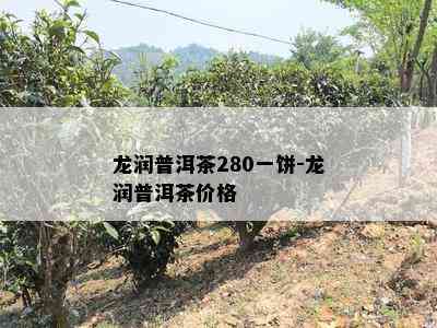 龙润普洱茶280一饼-龙润普洱茶价格