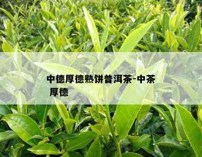 中德厚德熟饼普洱茶-中茶 厚德