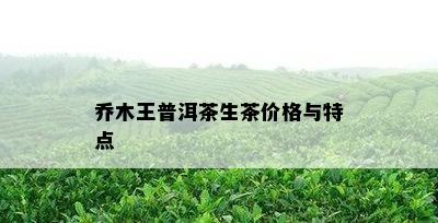 乔木王普洱茶生茶价格与特点