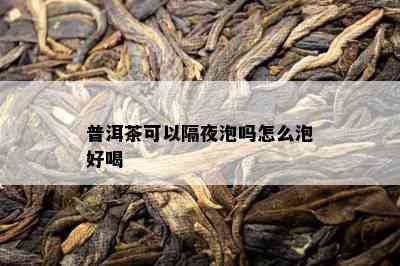 普洱茶可以隔夜泡吗怎么泡好喝