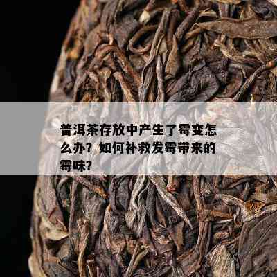 普洱茶存放中产生了霉变怎么办？如何补救发霉带来的霉味？