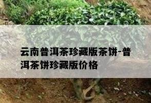 云南普洱茶珍藏版茶饼-普洱茶饼珍藏版价格