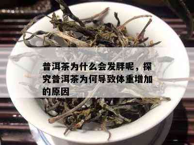 普洱茶为什么会发胖呢，探究普洱茶为何导致体重增加的原因