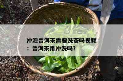 冲泡普洱茶需要洗茶吗视频：普洱茶用冲洗吗？