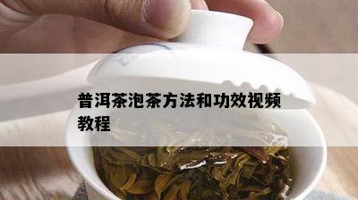 普洱茶泡茶方法和功效视频教程