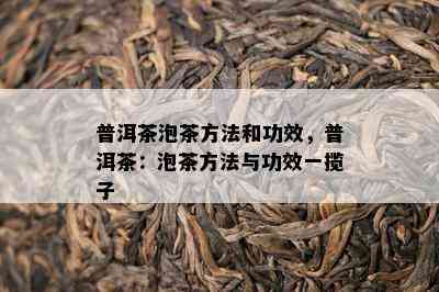 普洱茶泡茶方法和功效，普洱茶：泡茶方法与功效一揽子