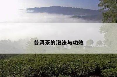 普洱茶的泡法与功效