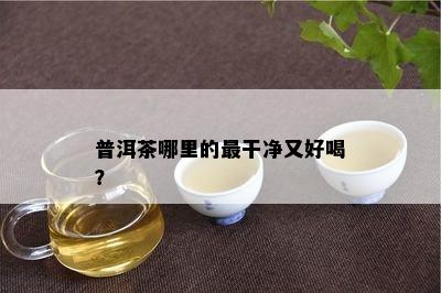 普洱茶哪里的最干净又好喝？