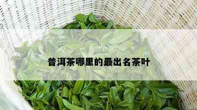 普洱茶哪里的最出名茶叶