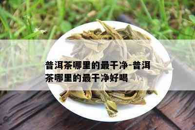 普洱茶哪里的最干净-普洱茶哪里的最干净好喝