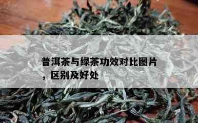 普洱茶与绿茶功效对比图片，区别及好处