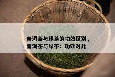 普洱茶与绿茶的功效区别，普洱茶与绿茶：功效对比