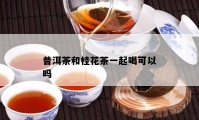 普洱茶和桂花茶一起喝可以吗