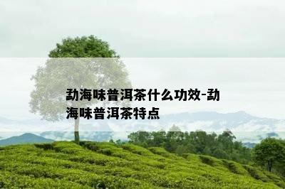 勐海味普洱茶什么功效-勐海味普洱茶特点